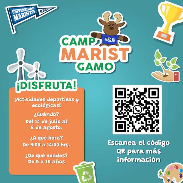 Curso de Verano